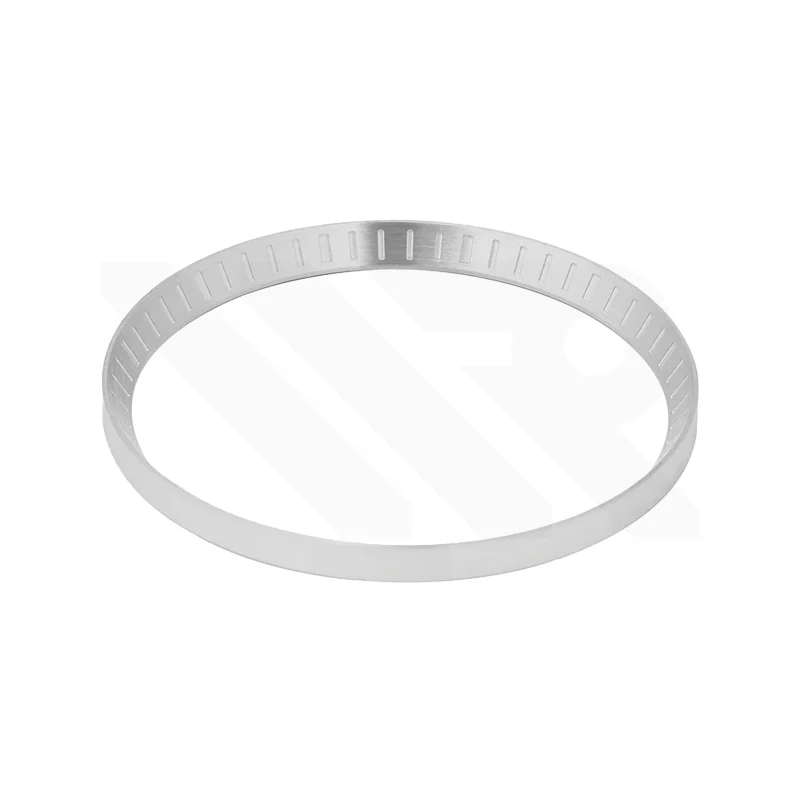 Seiko Mod Lumed Chapter Ring for SRP Turtle: Steel - Image 2